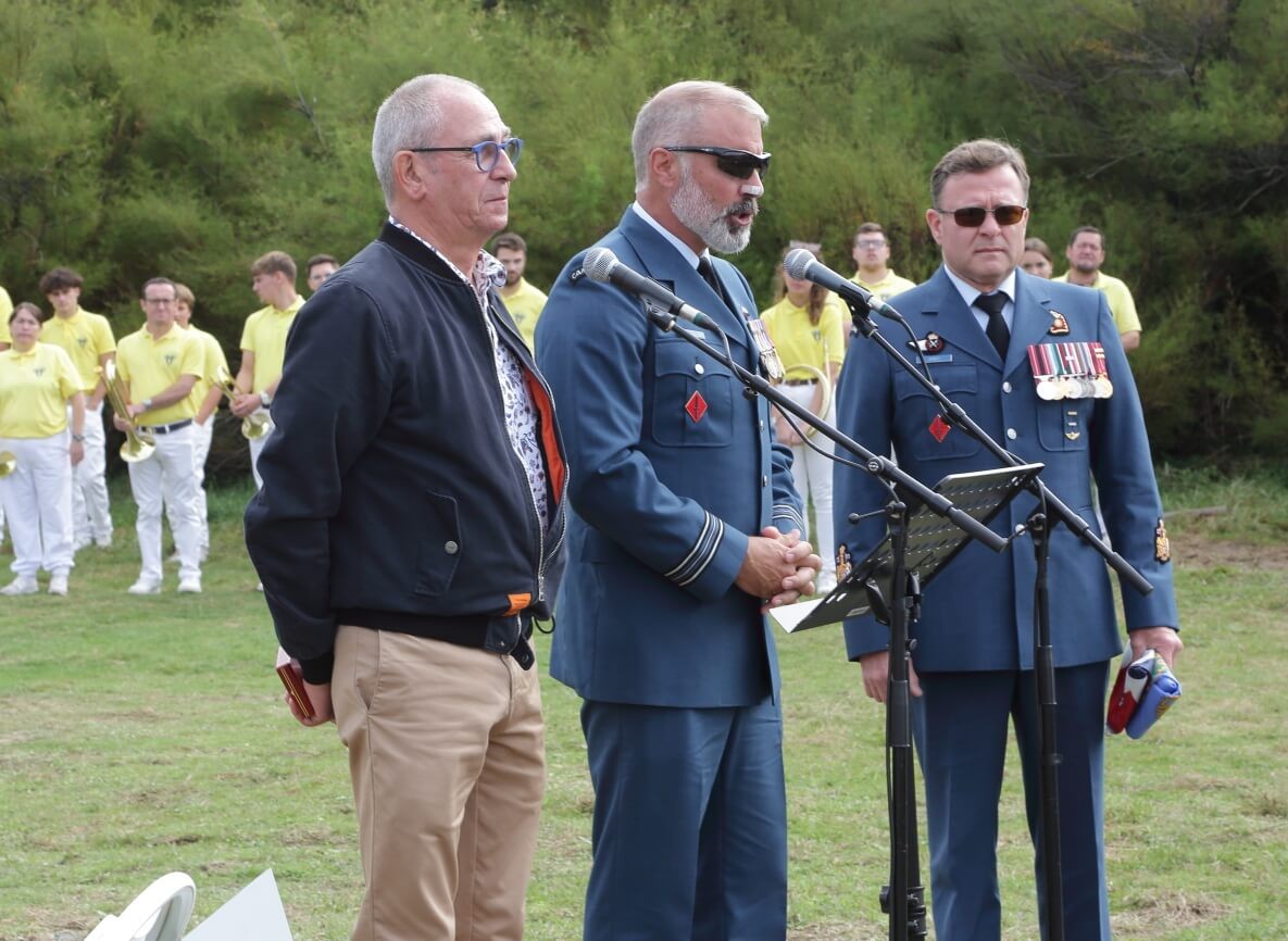 64 wellington bk34334